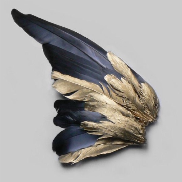 Meet your Posher, •Halo Noir• - Picture 6 of 6